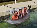 26 Grand Cayman, Dolphin Cove